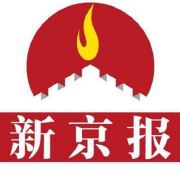甄子丹武打戏_甄子丹打戏是真打吗_甄子丹的经典情感戏与表现