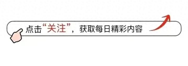 以客户为中心，胖东来的供应链管理理念_胖东来供应链系统_胖东来供应商平台