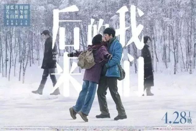 电影评论包括哪些内容_针对四大电影的影评与评论汇总_电影的评论
