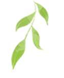 劳斯莱斯创造者_劳斯莱斯创始人120年前预言_劳斯莱斯创始人的传奇人生